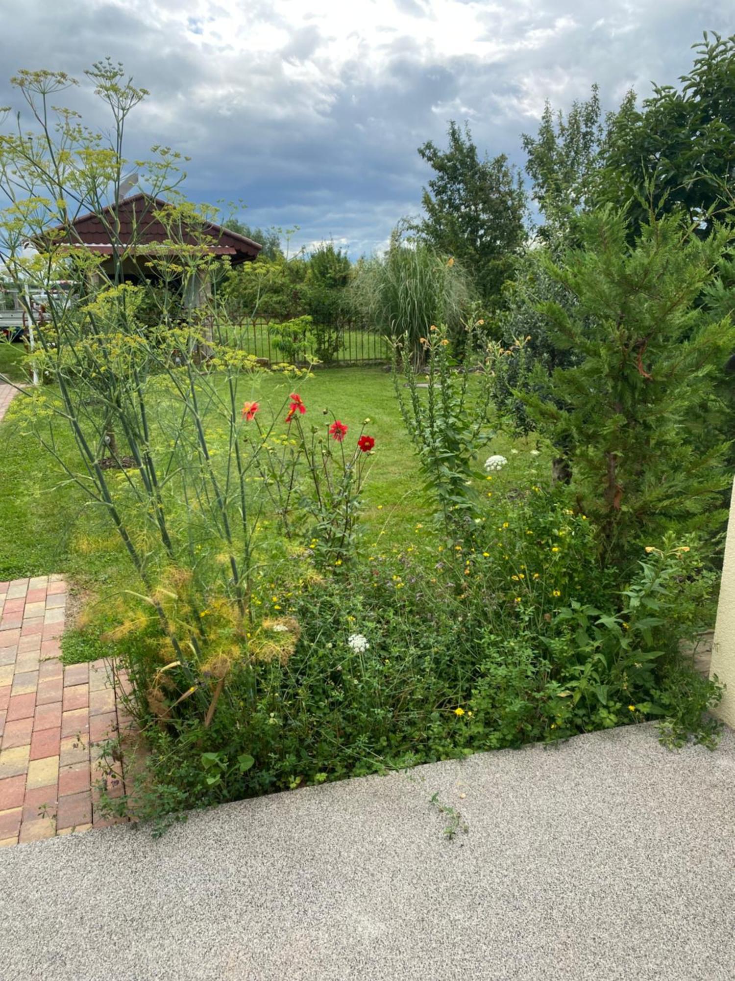 Ferienwohnung An Der Unditz 2 Neuried  ภายนอก รูปภาพ
